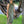 Load image into Gallery viewer, Flow Dress