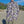 Load and play video in Gallery viewer, iGathered Shirt & Shirt dress