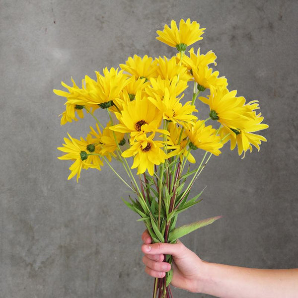 Gift card online store