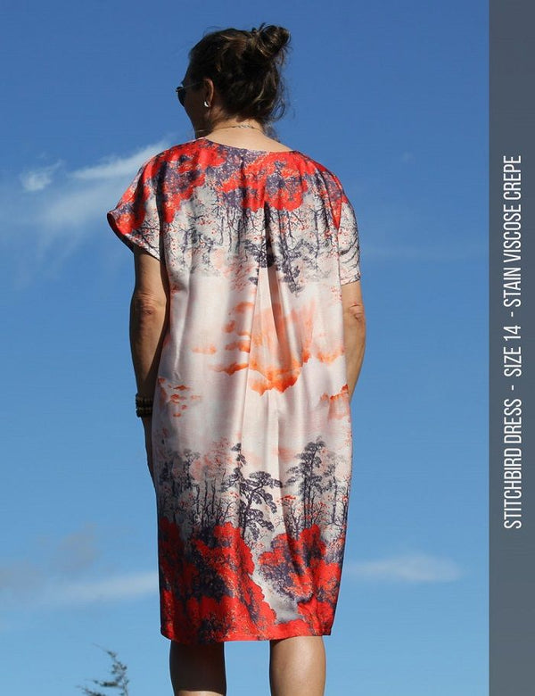 Womens dress sewing pattern - back pleat
