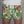 Load image into Gallery viewer, DIY summer PJ pack